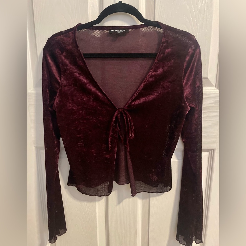 See You Monday Deep Burgundy Velvet Blouse